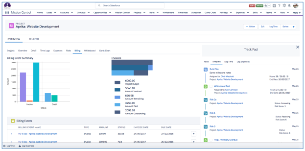 Project Overview - Billing Tab