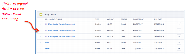 Project Overview - Billing Tab