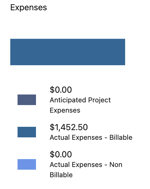 Project Overview - Expenses Tab