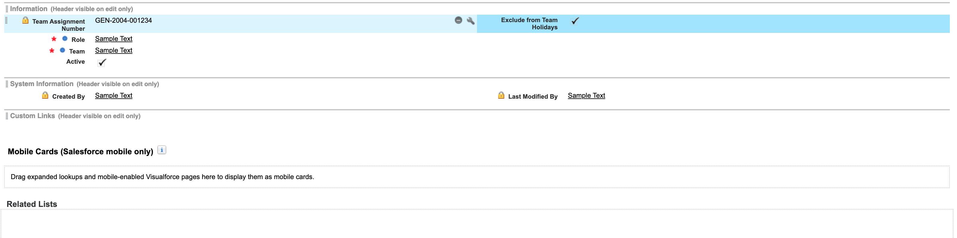 What is the Team Assignment Object?